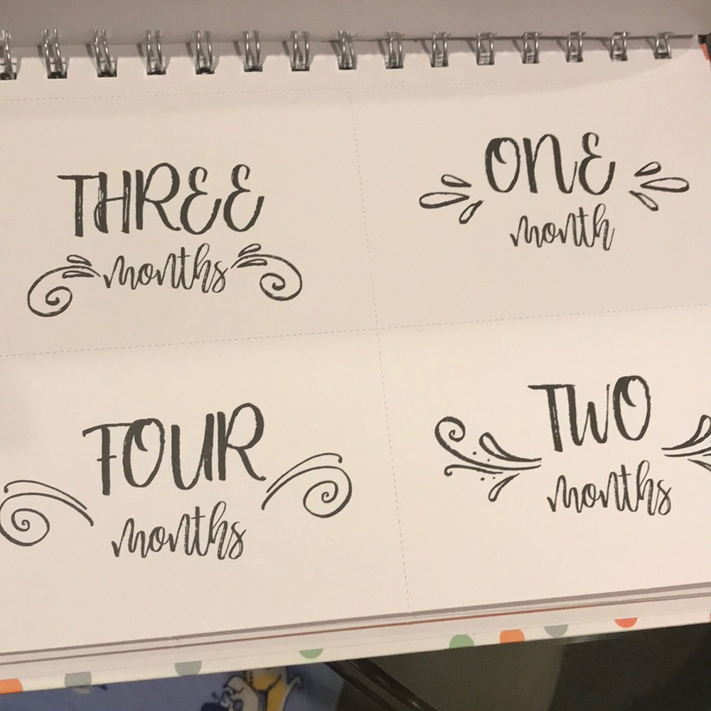 Baby milestone journal - Picture 3 of 4